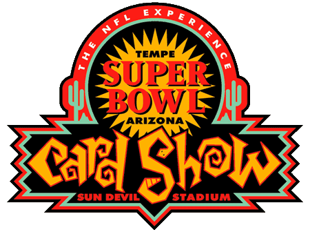 Super Bowl XXXI Special Event Logo iron on transfers for clothing